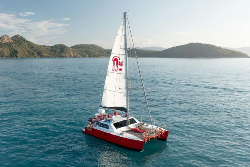 Billet Croisière et plongée avec tuba à Tongarra Whitsundays avec déjeuner