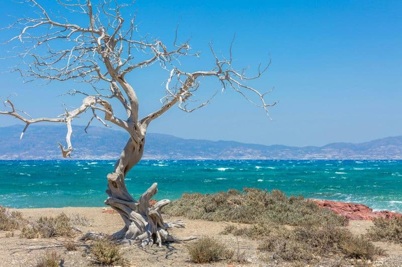 Billet Croisière exclusive en yacht semi-privé sur l'île de Chrissi