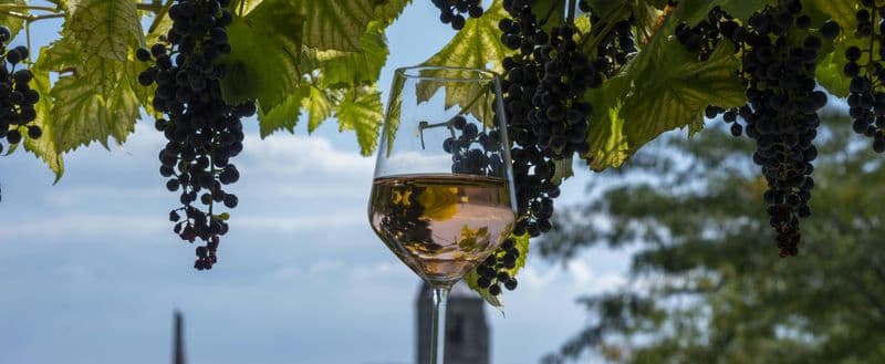 Billet Visite privée des vins d'Etyek et dîner croisière en soirée sur le Danube