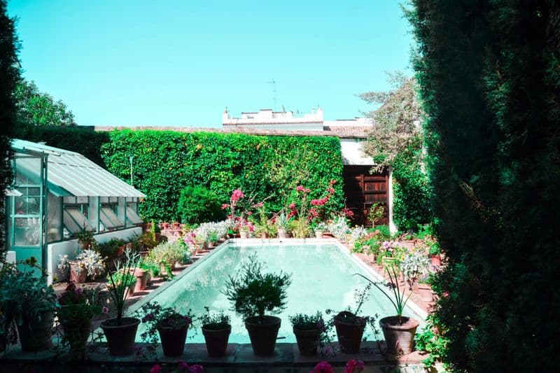 Billet Visita guiada del Palacio de Viana y de sus patios