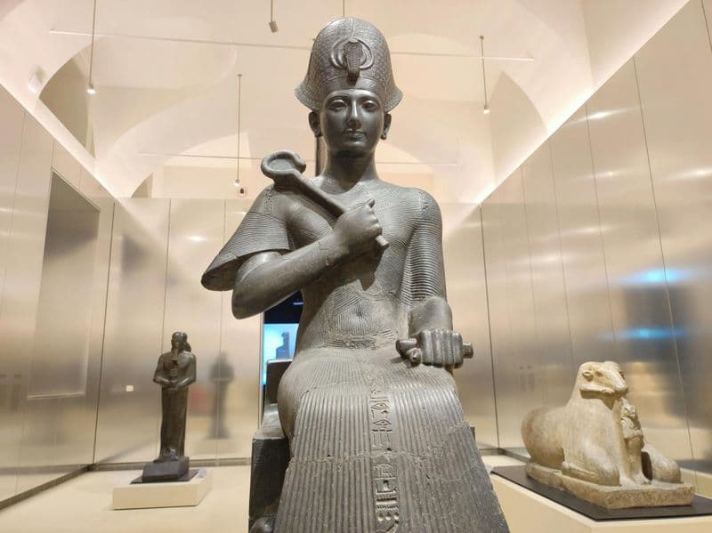 Billet Visite guidée du musée égyptien de Turin