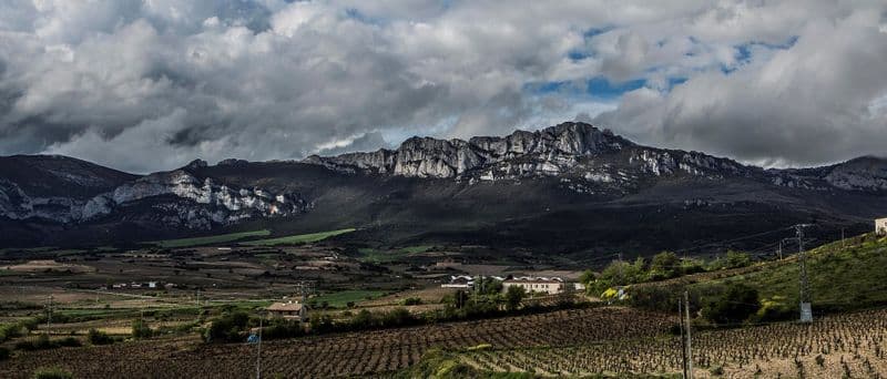 Billet Winery visit in La Rioja with tasting and lunch from Vitoria