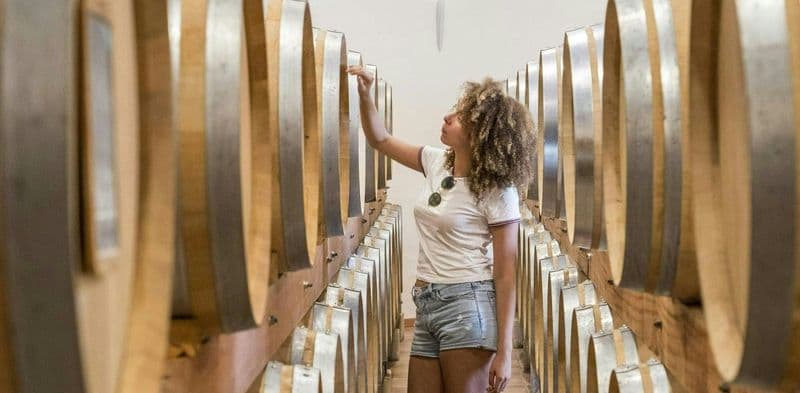 Billet Après-midi visite des vins de Châteauneuf du Pape au départ d'Avignon