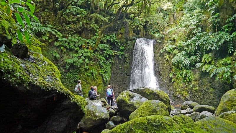 Billet Randonnée d'une journée à Faial da Terra et Salto do Prego