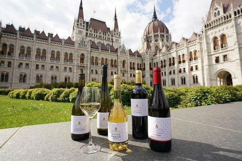 Billet Visite privée de Budapest avec visite des vins d'Etyek et déjeuner