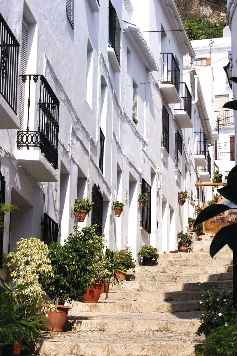 Billet Circuit dans le désert de Mojacar et Tabernas