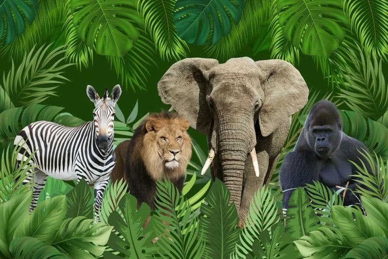 Billet Billet d'entrée au zoo de Varsovie