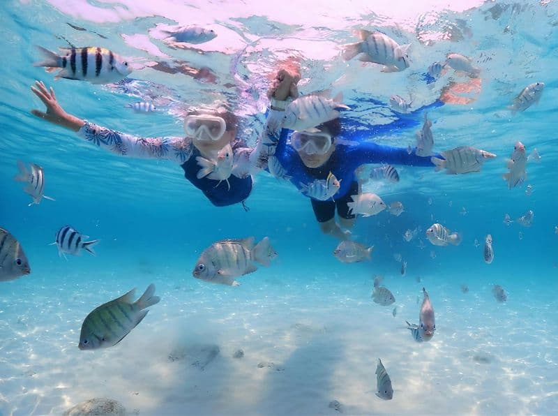 Billet Excursion d'une journée au Lagon Bleu et visite de la cascade de Tegenungan