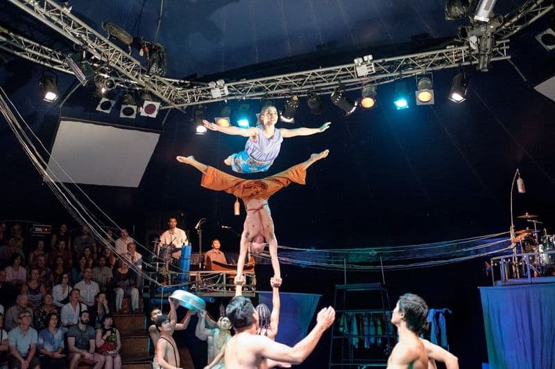 Billet Dîner du campus Phare Ponleu Selpak et spectacle de cirque