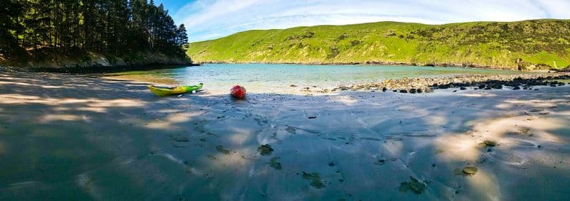 Billet Excursion en kayak et en soirée avec les pingouins
