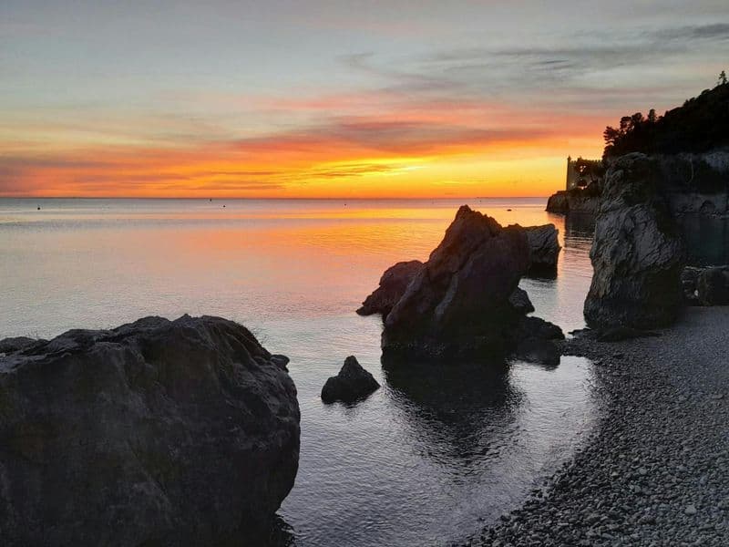 Billet Excursion en bateau pour découvrir la réserve UNESCO de Miramare