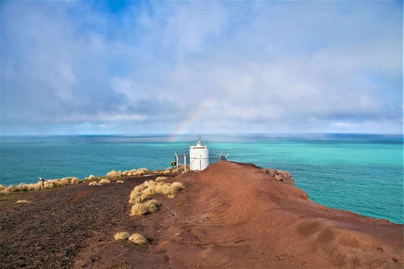 Billet Safari nature panoramique d'une demi-journée