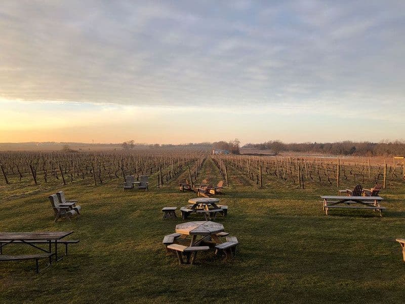 Billet Excursion d'une journée avec dégustation de vins au départ de New York