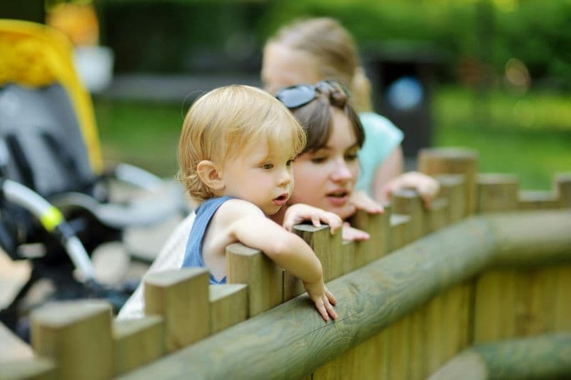 Billet Visite mobile autoguidée du zoo de Varsovie