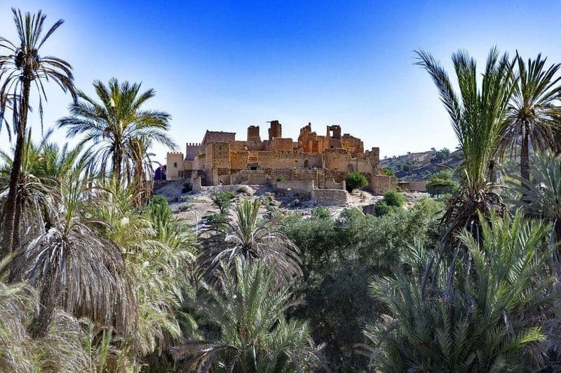 Billet Excursion d'une journée à Taroudant et Tiout avec déjeuner au départ d'Agadir ou de Taghazout