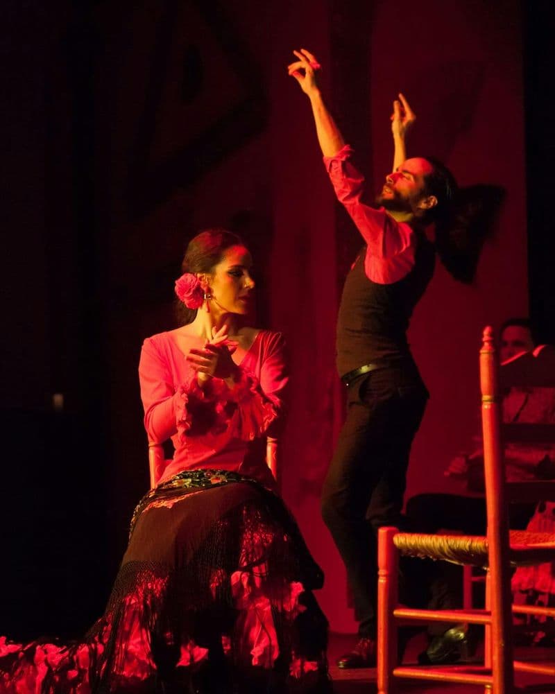 Billet Flamenco Show entrance tickets at El Palacio Andaluz