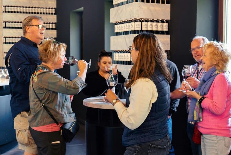 Billet Visite d'une demi-journée des vignobles du Médoc