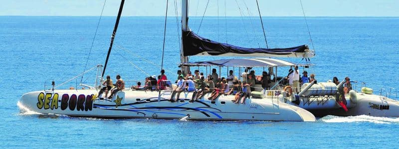 Billet Tour en 4x4 à toit ouvert Arieiro Peak et Cristo Rei avec observation des dauphins