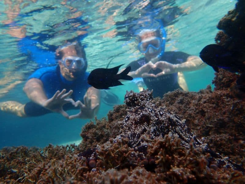 Billet Excursion de plongée en apnée au Portugal