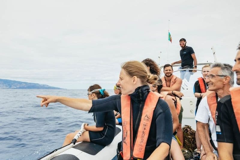 Billet Expérience baleines et dauphins à Madère