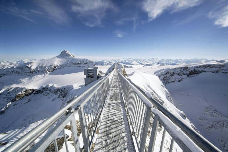 Billet Excursion d'une journée à Glacier 3000 et Montreux depuis Genève