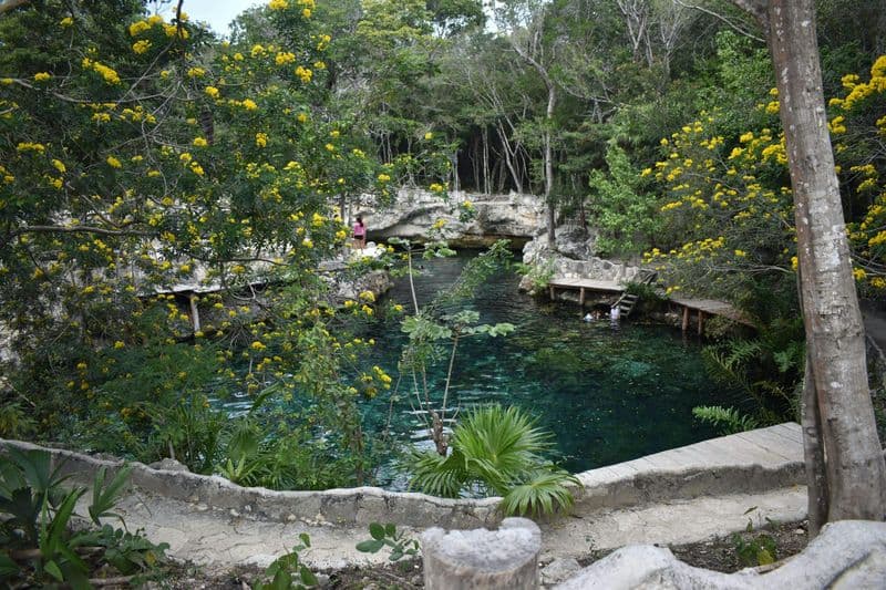Billet Cenotes Casa Tortuga Tulum depuis Tulum ou Playa del Carmen