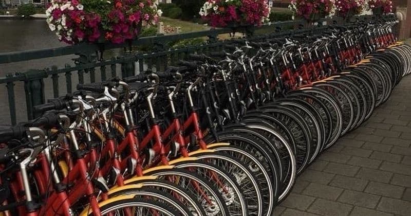 Billet Location de vélo de 3 heures à Amsterdam avec café de bienvenue