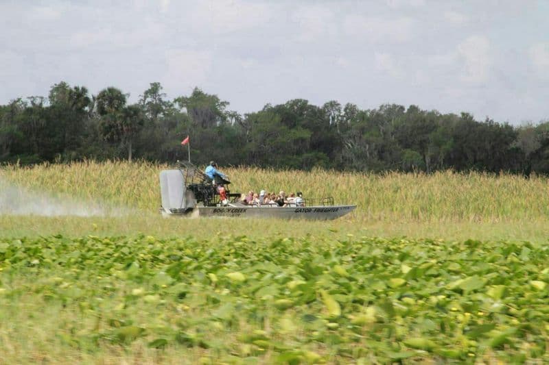 Billet Florida wildlife adventure with Airboat Ride and Gatorland entry