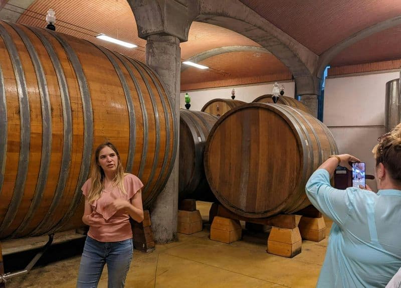 Billet Expérience Valpolicella avec vin et déjeuner au bord du lac de Garde