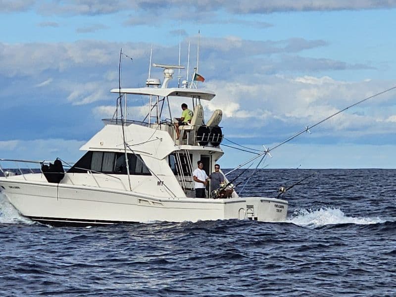 Billet Riviera 39 Open Flybridge (Motorboat)