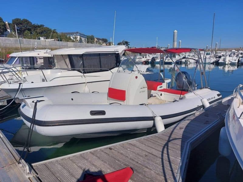 Billet Location de bateau - Pro Marine Hélios 23 (Semi-rigid)