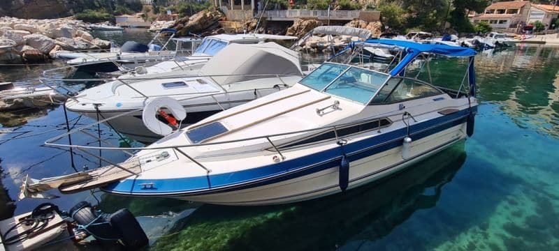 Billet Sea Ray 250 Sundancer (Motorboat)