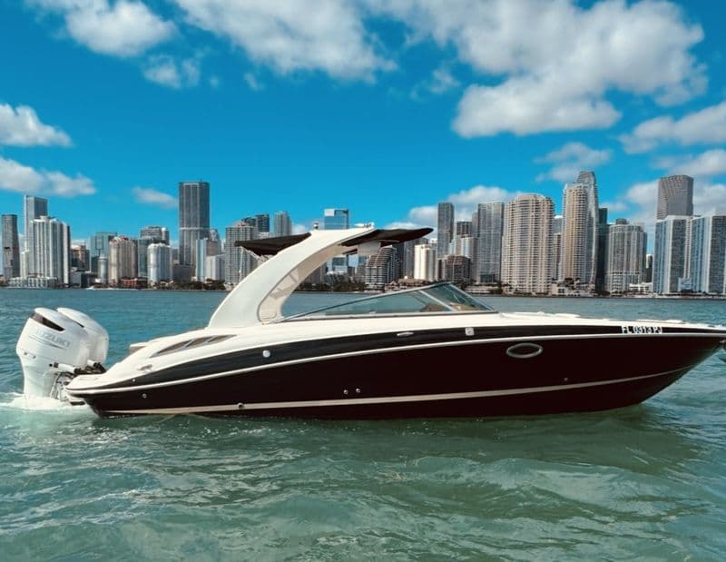 Billet Location de bateau - Four Winns h310 (Motorboat)