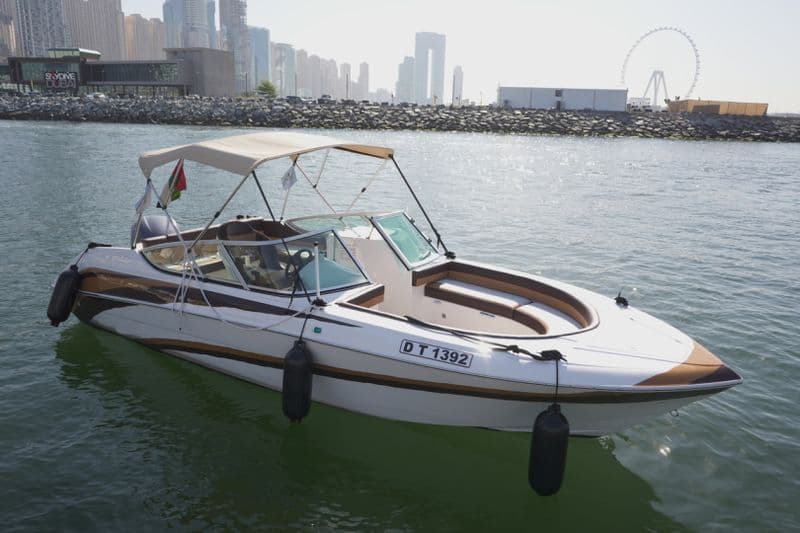Billet Sealine Hannibal 730 (Motorboat)
