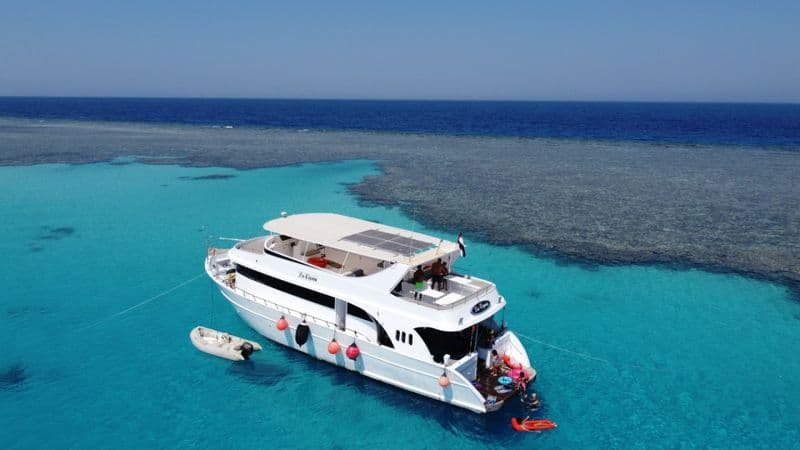 Billet Custom Made Lavignia 19 (Yacht)