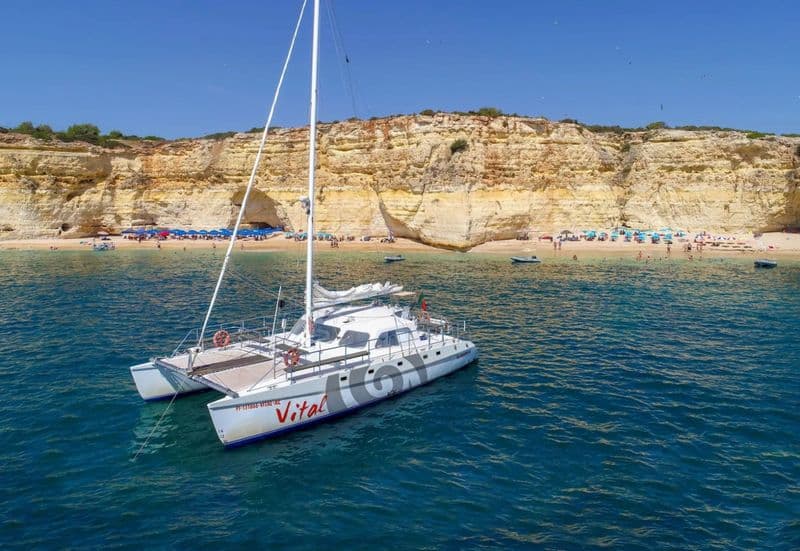 Billet Location de bateau - Catamaran Custom (Multihull)