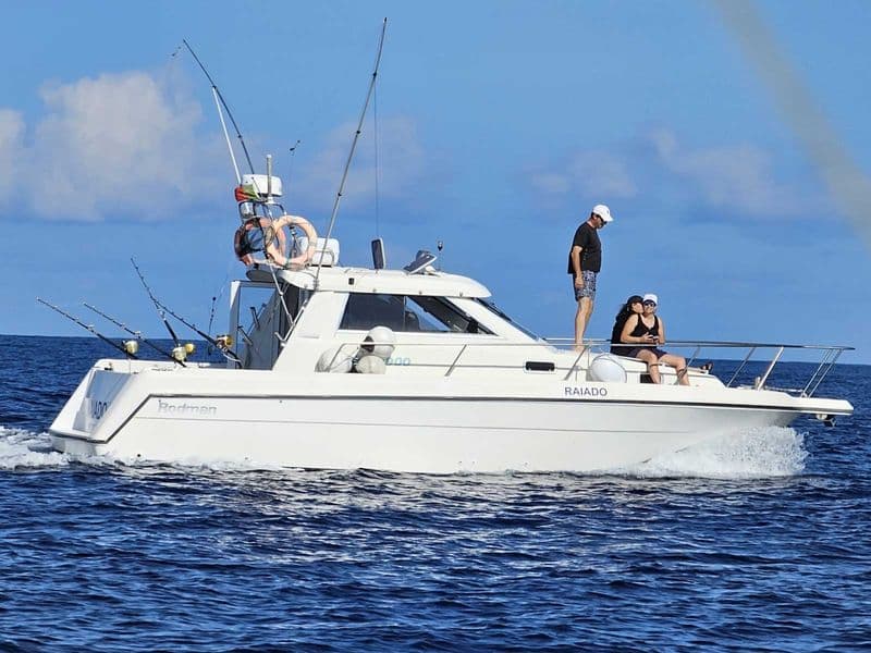 Billet Rodman 900 Fly (Motorboat)