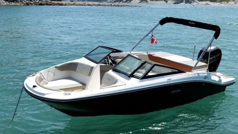 Billet Sea Ray 19 SPX OB (Motorboat)