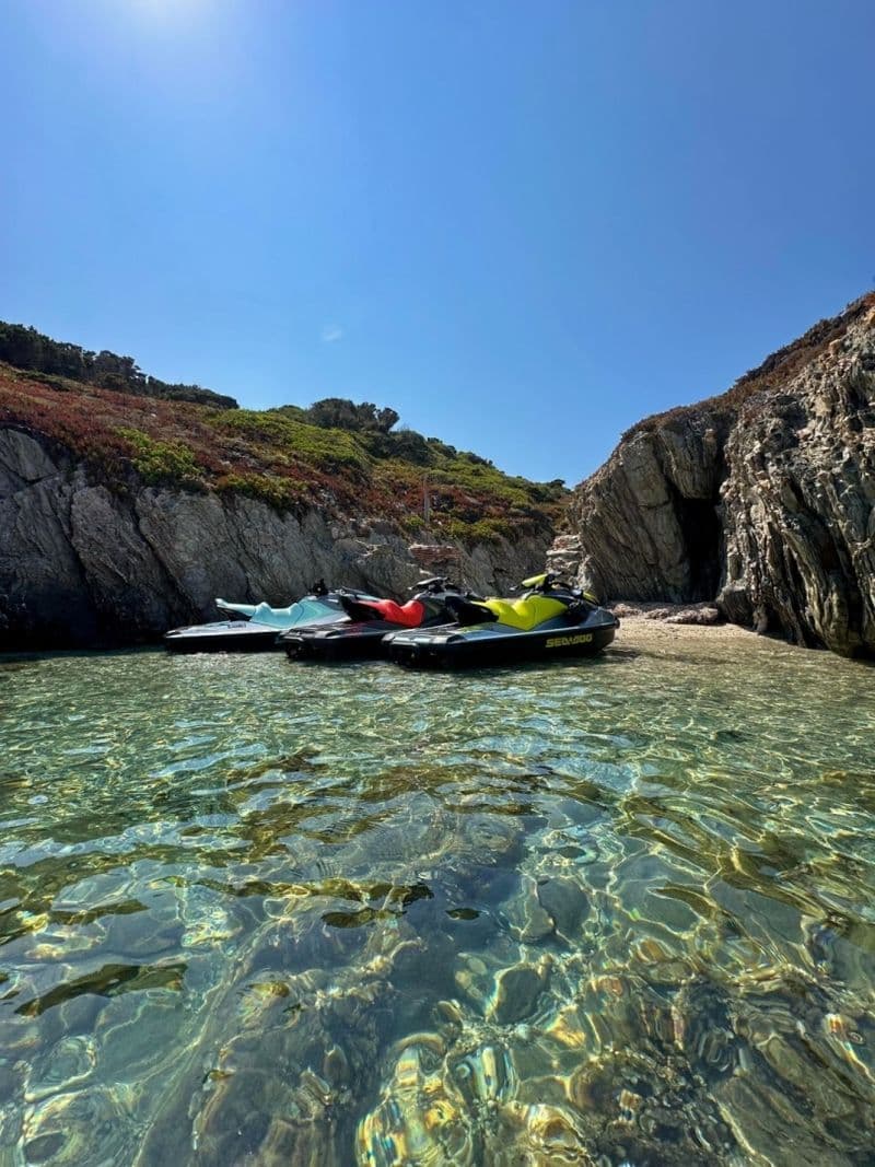 Billet Sea-Doo JET SKI SEADOO (Jetski)