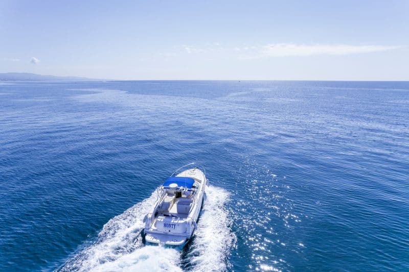 Billet Location de bateau - Sea Ray Amberjack 290 (Motorboat)