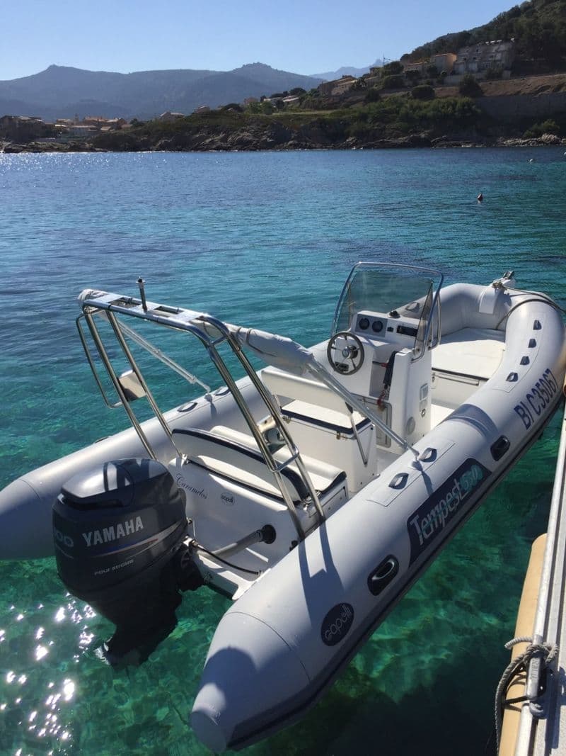 Billet Capelli Tempest 550 (Semi-rigid)