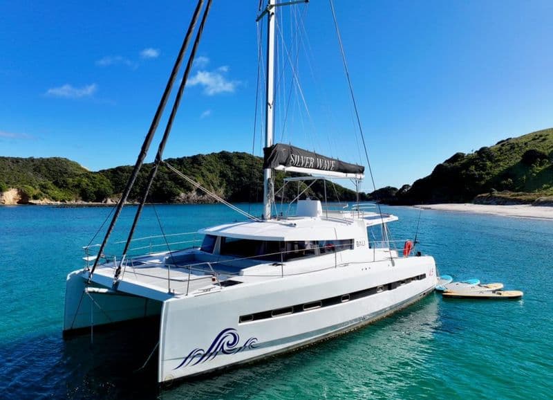 Billet Bali Catamarans Bali 4.5 (Multihull)