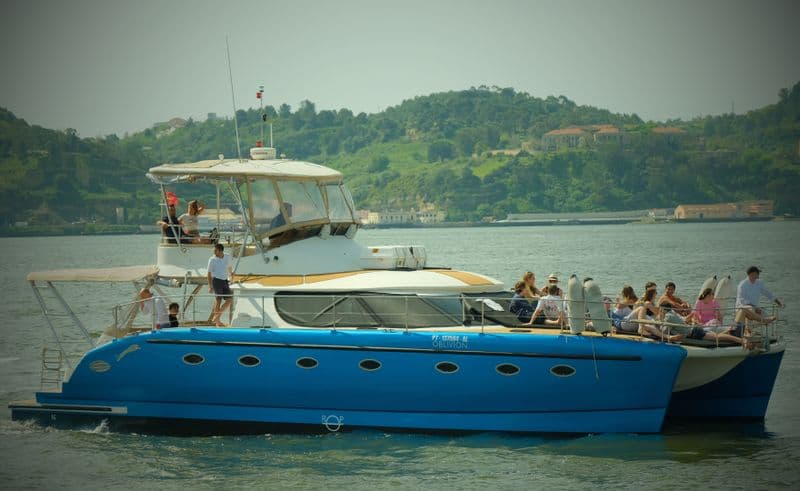 Billet Prowler 480 (Multihull)