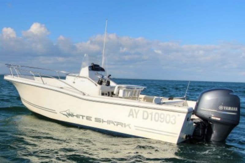 Billet Location de bateau - White Shark 205 (Motorboat)