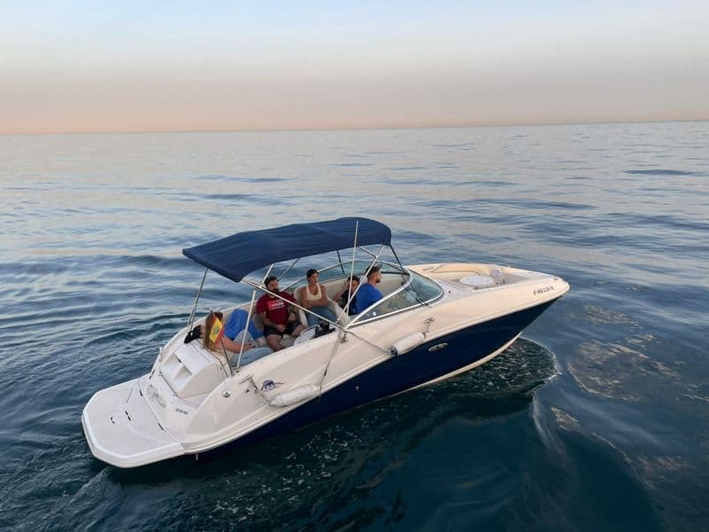 Billet Location de bateau - Sea Ray 260 SD Blue (Motorboat)