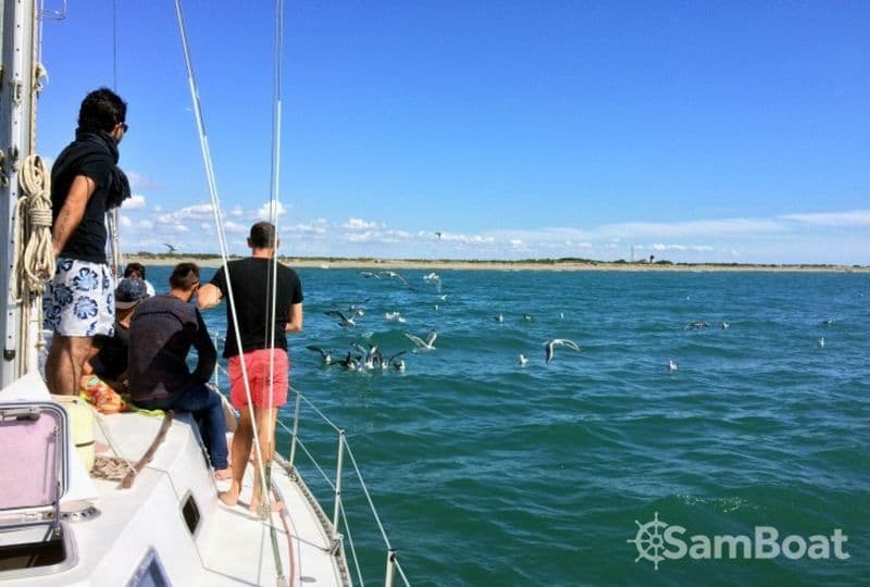 Billet Freedom 12 metres (Sailboat)