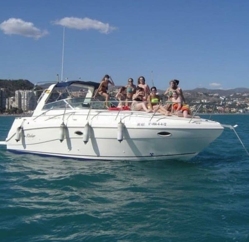 Billet Rinker 310 FIESTA VEE (Motorboat)