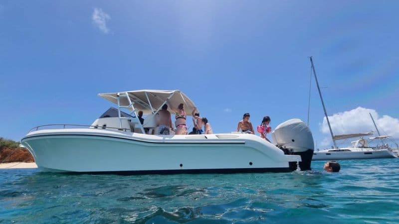 Billet Location de bateau - fire bird 36 SOL (Motorboat)