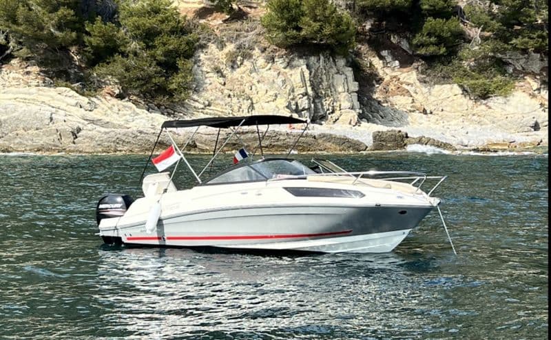 Billet Bayliner VR5 Cuddy (Motorboat)