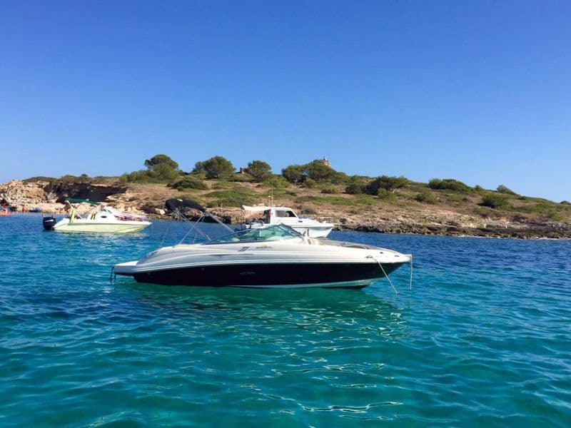 Billet Sea Ray 220 Sundeck (Motorboat)